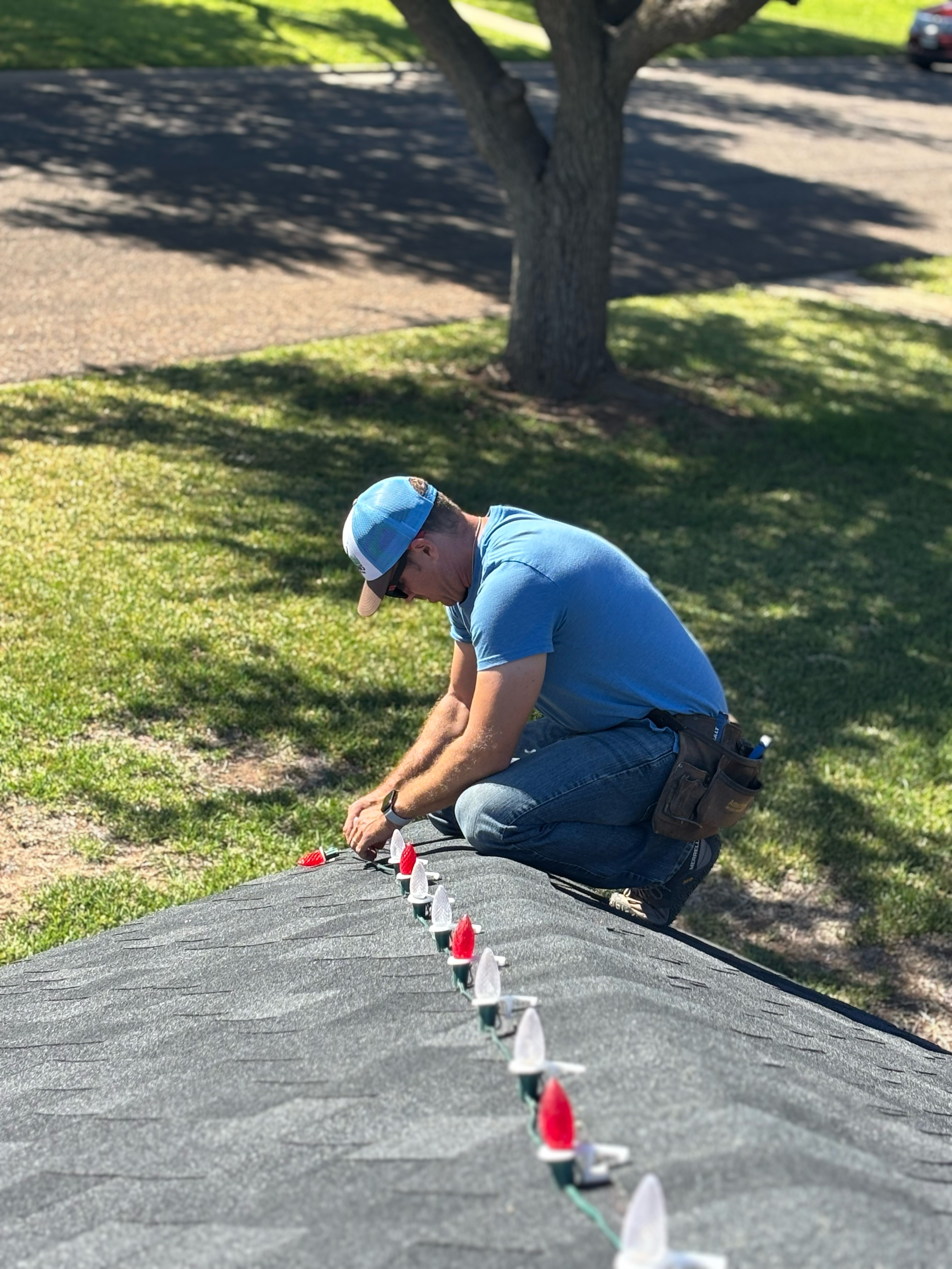 Custom Christmas light design